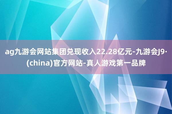 ag九游会网站集团兑现收入22.28亿元-九游会J9·(china)官方网站-真人游戏第一品牌
