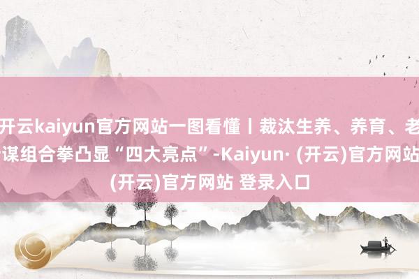 开云kaiyun官方网站一图看懂丨裁汰生养、养育、老师老本 计谋组合拳凸显“四大亮点”-Kaiyun· (开云)官方网站 登录入口