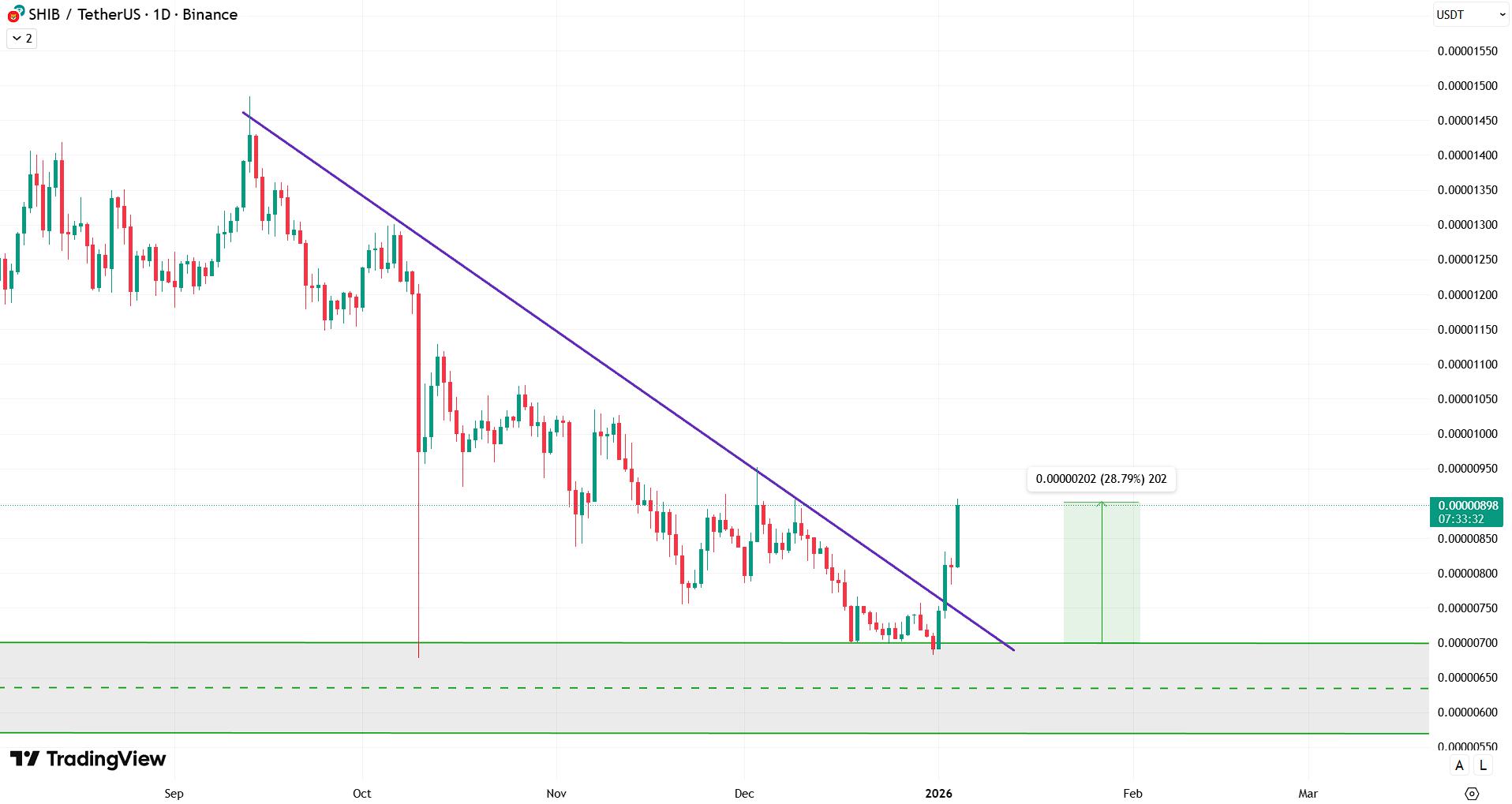 柴犬逃脱前的完美跃起：追逐目标